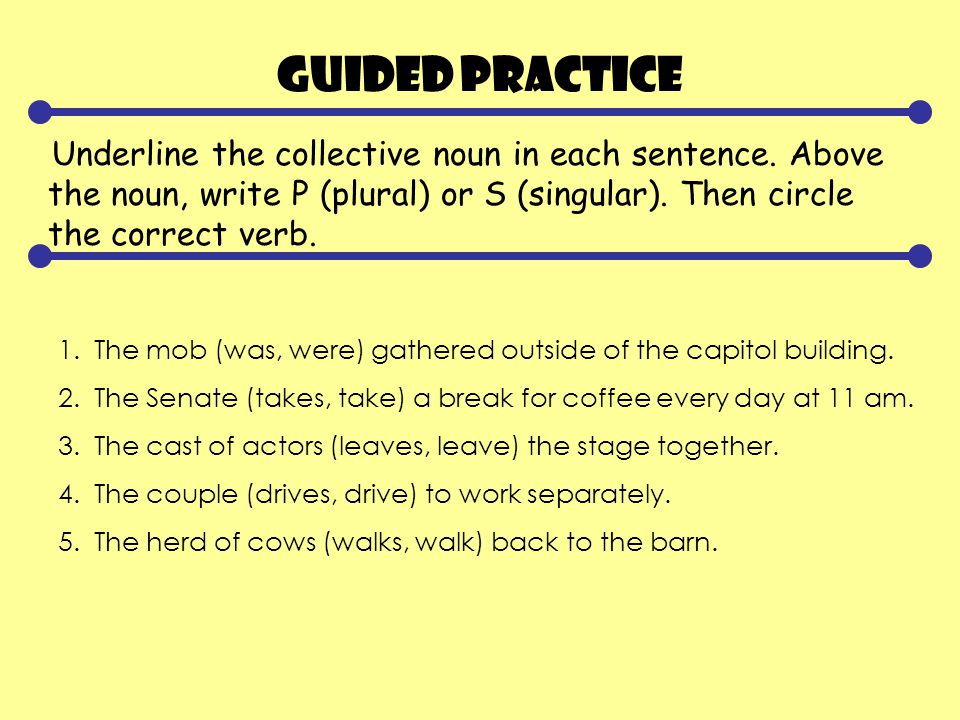 Guided Practice Underline the collective noun in each sentence.