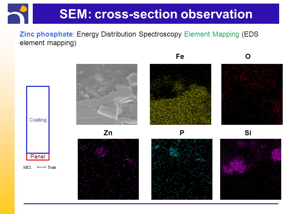 SEM: cross-section observation Fe Si O P Panel Coating Zn Zinc phosphate: Energy Distribution Spectroscopy Element Mapping (EDS element mapping)