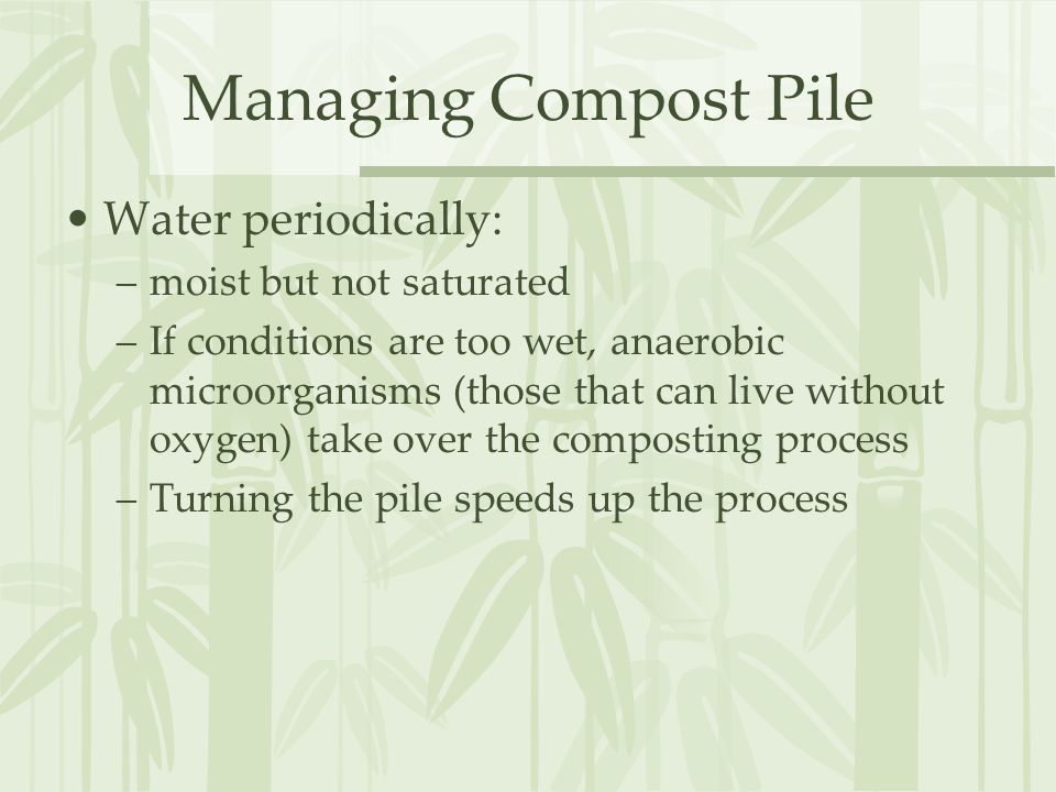 Managing Compost Pile Water periodically: –moist but not saturated –If conditions are too wet, anaerobic microorganisms (those that can live without oxygen) take over the composting process –Turning the pile speeds up the process