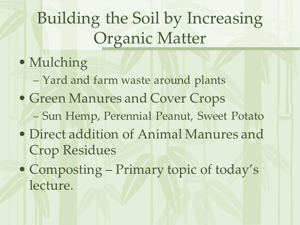 Building the Soil by Increasing Organic Matter Mulching –Yard and farm waste around plants Green Manures and Cover Crops –Sun Hemp, Perennial Peanut, Sweet Potato Direct addition of Animal Manures and Crop Residues Composting – Primary topic of today’s lecture.