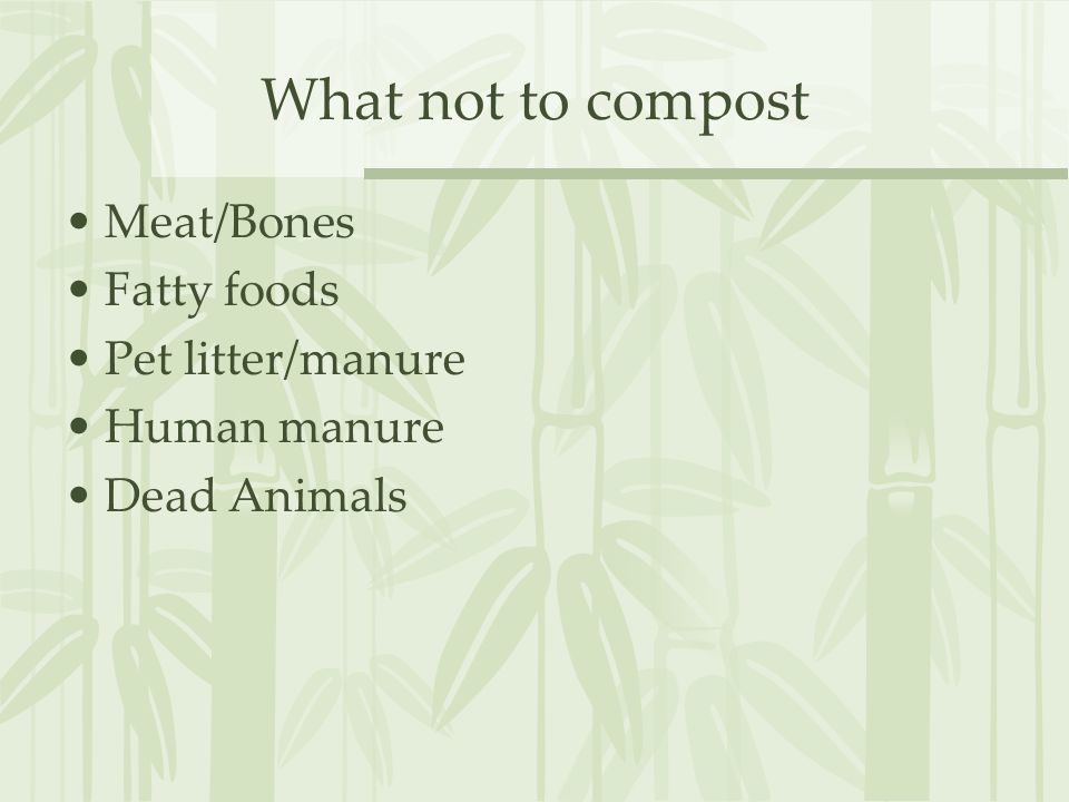 What not to compost Meat/Bones Fatty foods Pet litter/manure Human manure Dead Animals