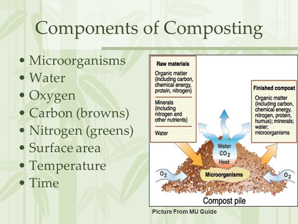 Components of Composting Microorganisms Water Oxygen Carbon (browns) Nitrogen (greens) Surface area Temperature Time Picture From MU Guide