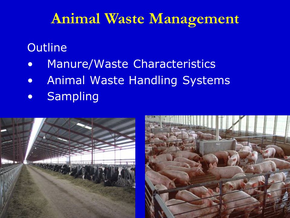 Animal Waste Management. Outline Manure/Waste Characteristics Animal Waste  Handling Systems Sampling Animal Waste Management. - ppt download