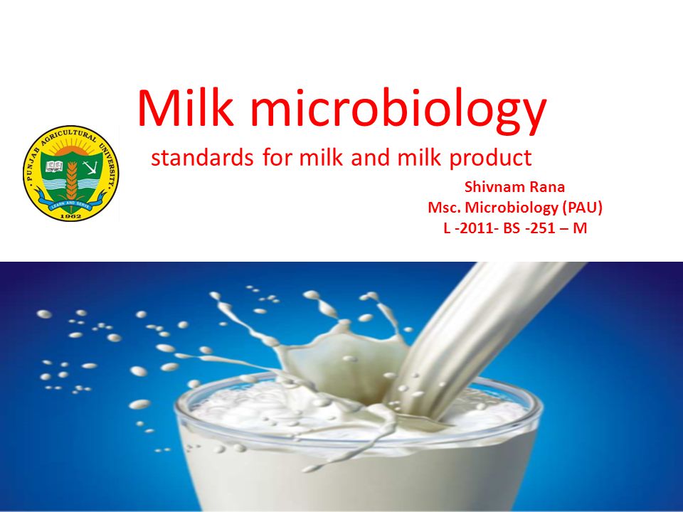 yogurt microbiology
