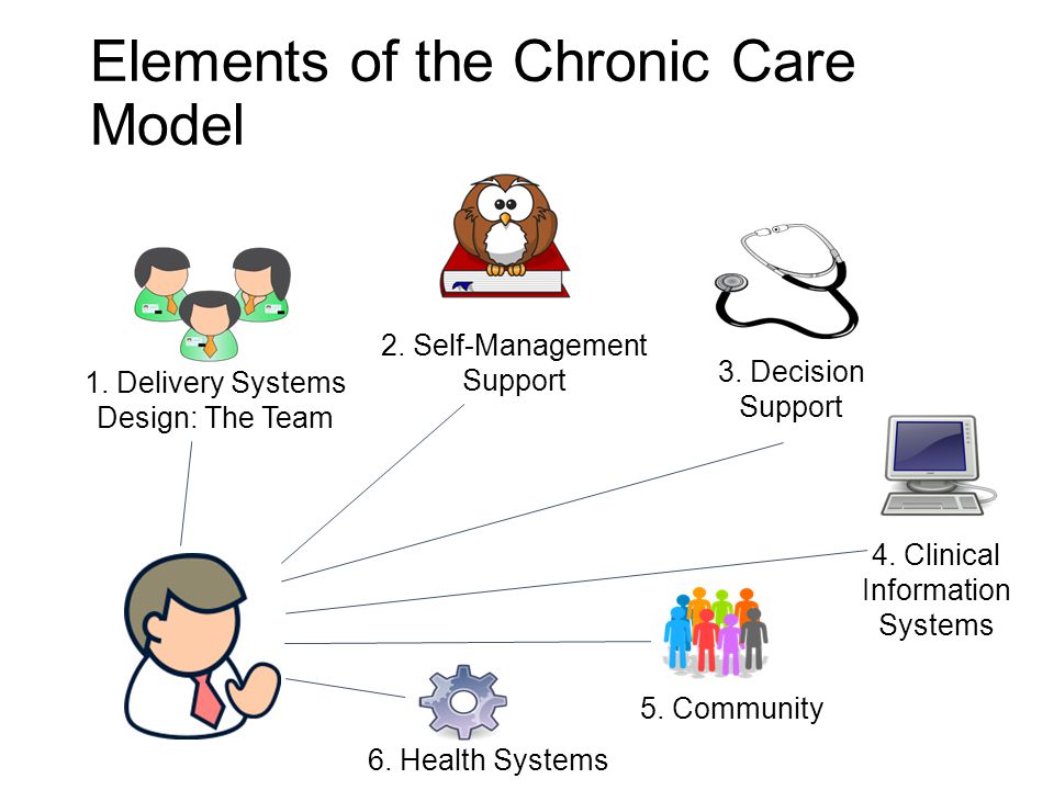 Elements of the Chronic Care Model 1. Delivery Systems Design: The Team 2.