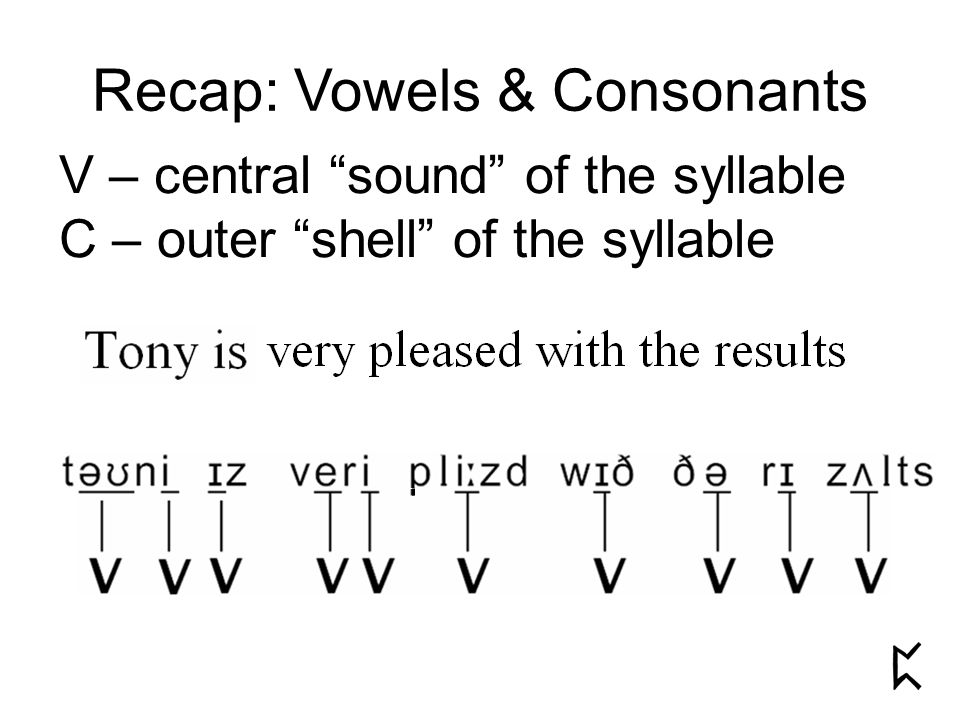 Recap: Vowels & Consonants V – central sound of the syllable C – outer shell of the syllable