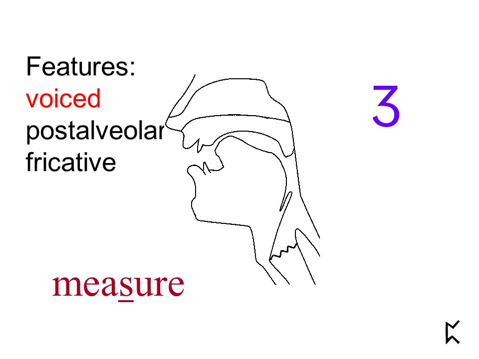 Features: voiced postalveolar fricative measure