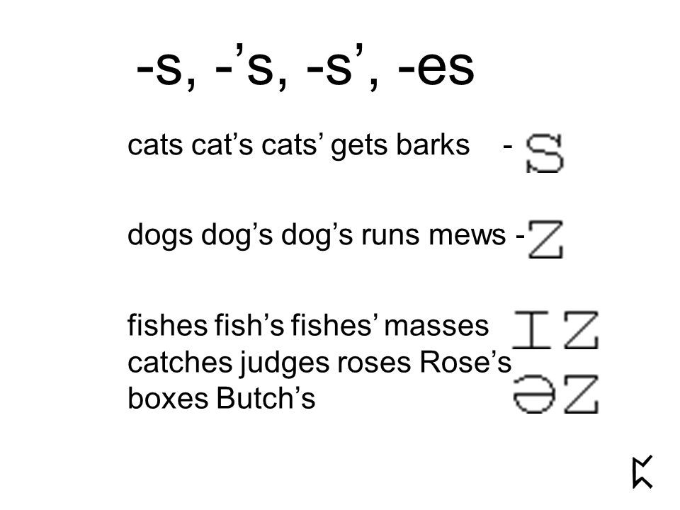 cats cat’s cats’ gets barks - -s, -’s, -s’, -es dogs dog’s dog’s runs mews - fishes fish’s fishes’ masses catches judges roses Rose’s boxes Butch’s