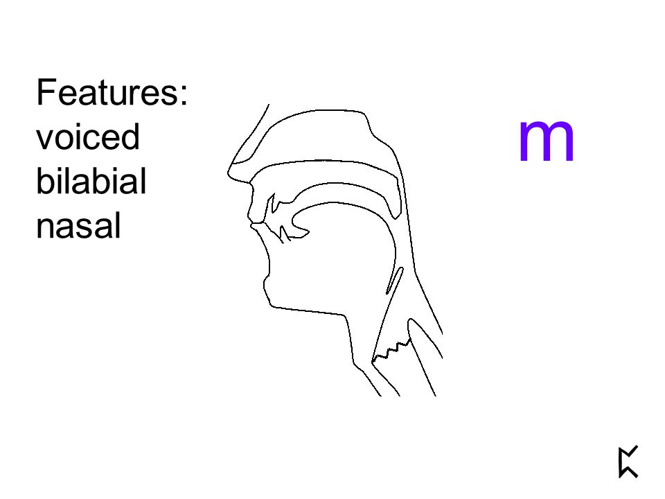 Features: voiced bilabial nasal m