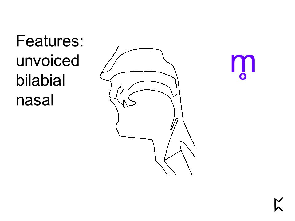 Features: unvoiced bilabial nasal m o