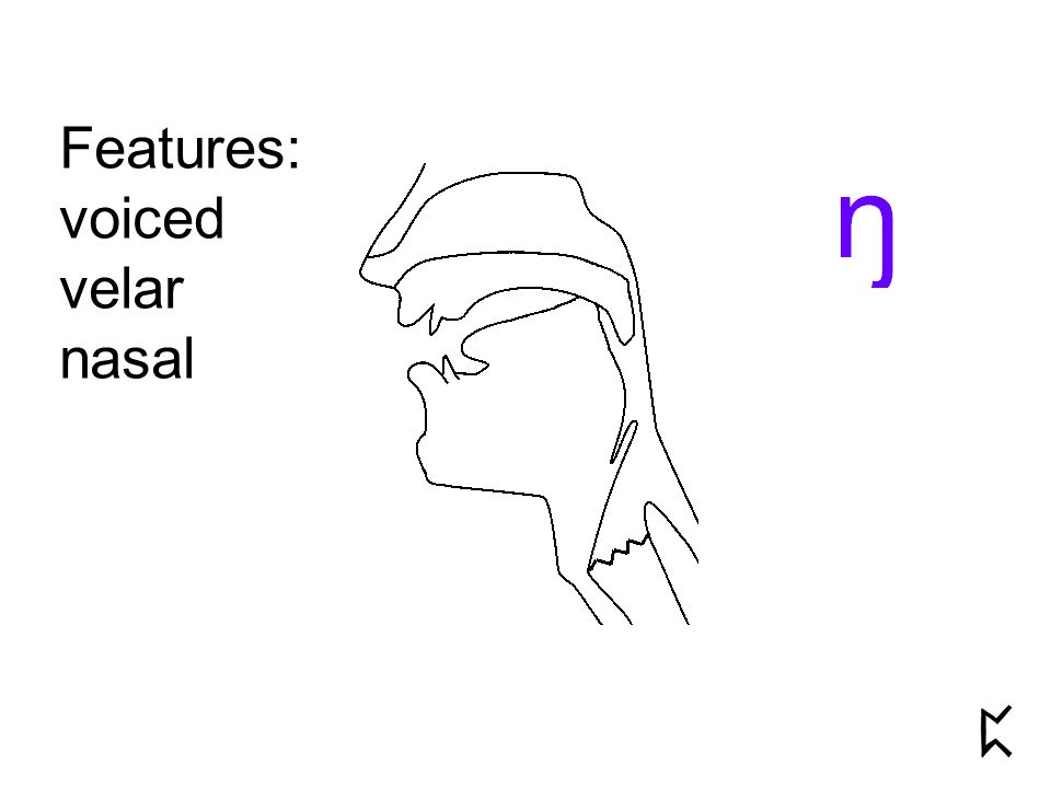 Features: voiced velar nasal