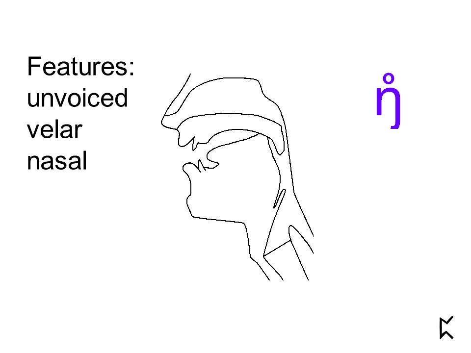 Features: unvoiced velar nasal o
