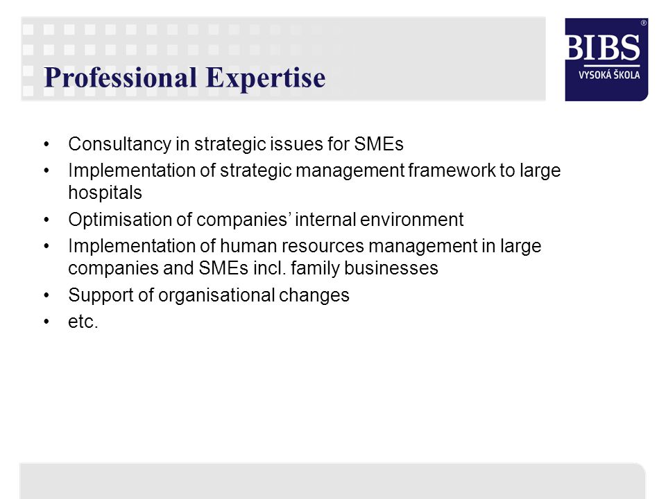BIBS - place for managerial education, research and professional expertise  B rno International Business School Czech Republic Professor Karel. - ppt  download