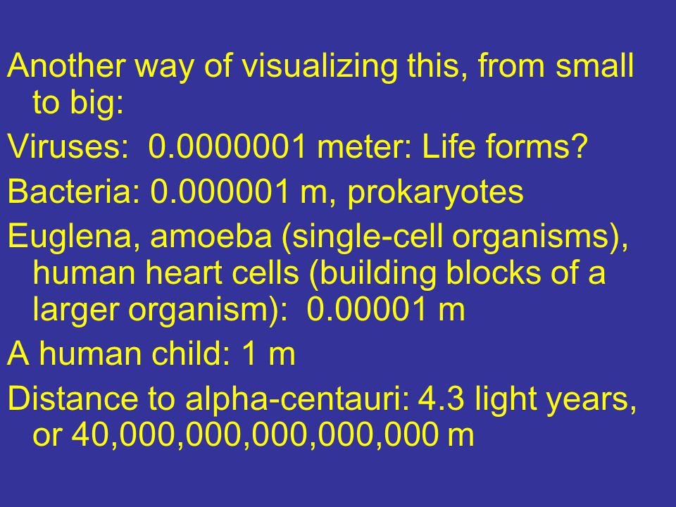 Another way of visualizing this, from small to big: Viruses: meter: Life forms.