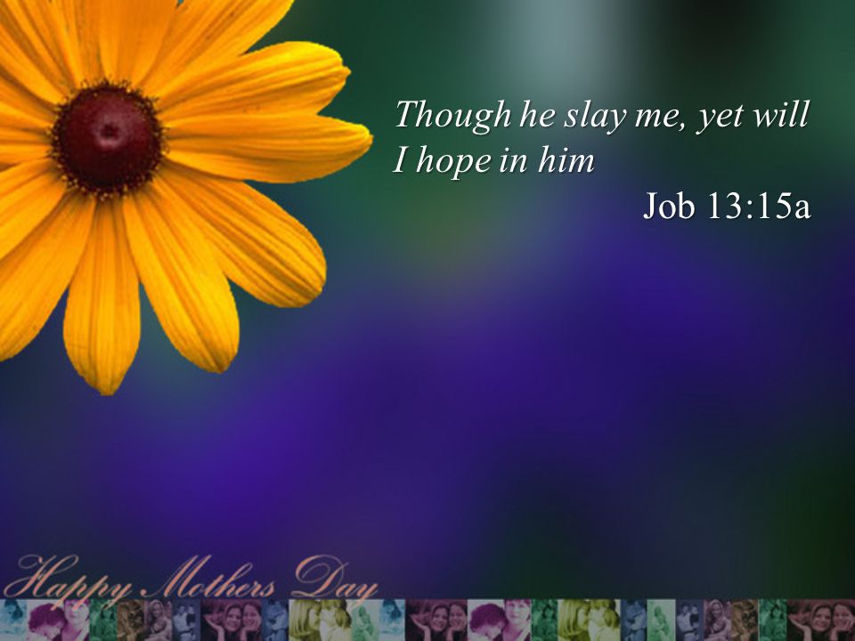 Though he slay me, yet will I hope in him Job 13:15a
