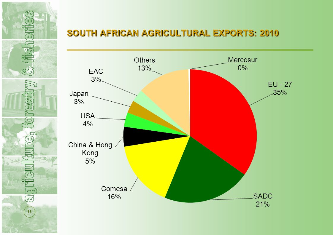 11 SOUTH AFRICAN AGRICULTURAL EXPORTS: 2010