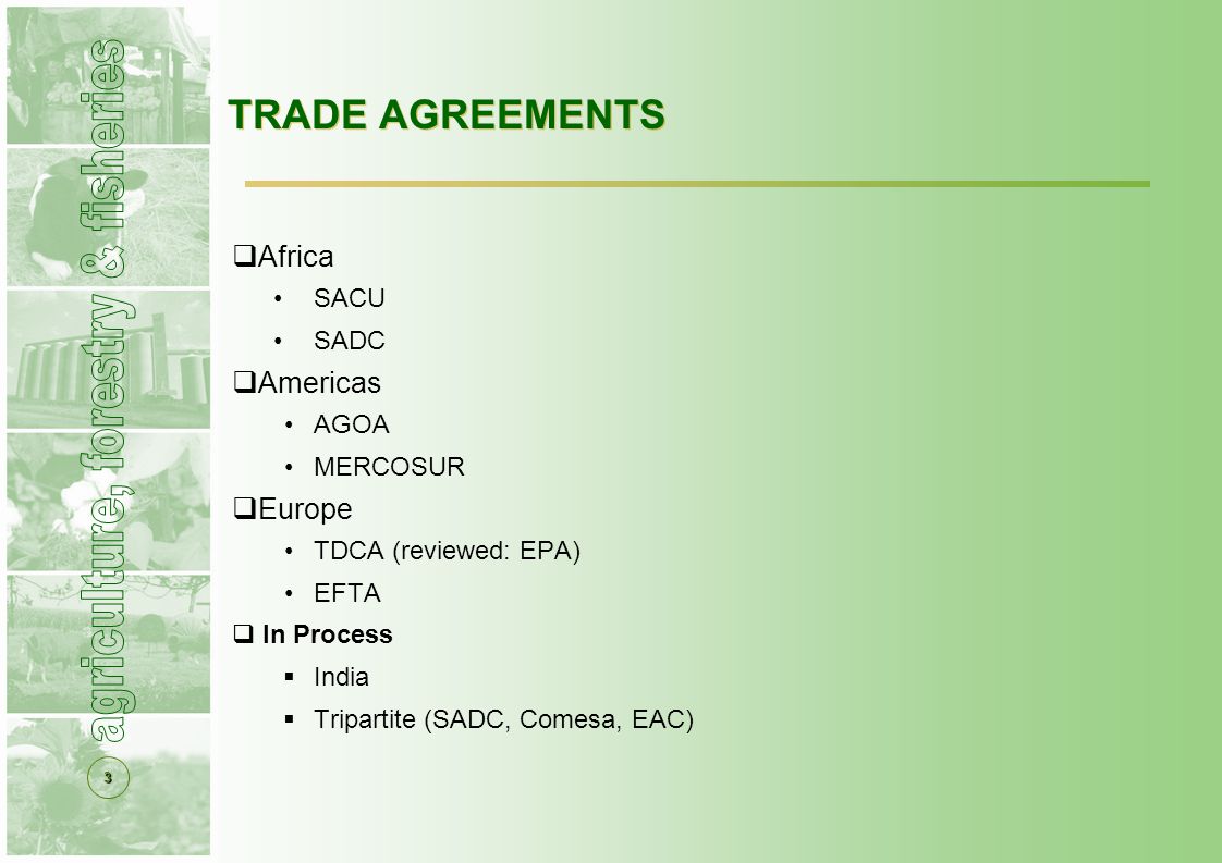 3 TRADE AGREEMENTS  Africa SACU SADC  Americas AGOA MERCOSUR  Europe TDCA (reviewed: EPA) EFTA  In Process  India  Tripartite (SADC, Comesa, EAC)