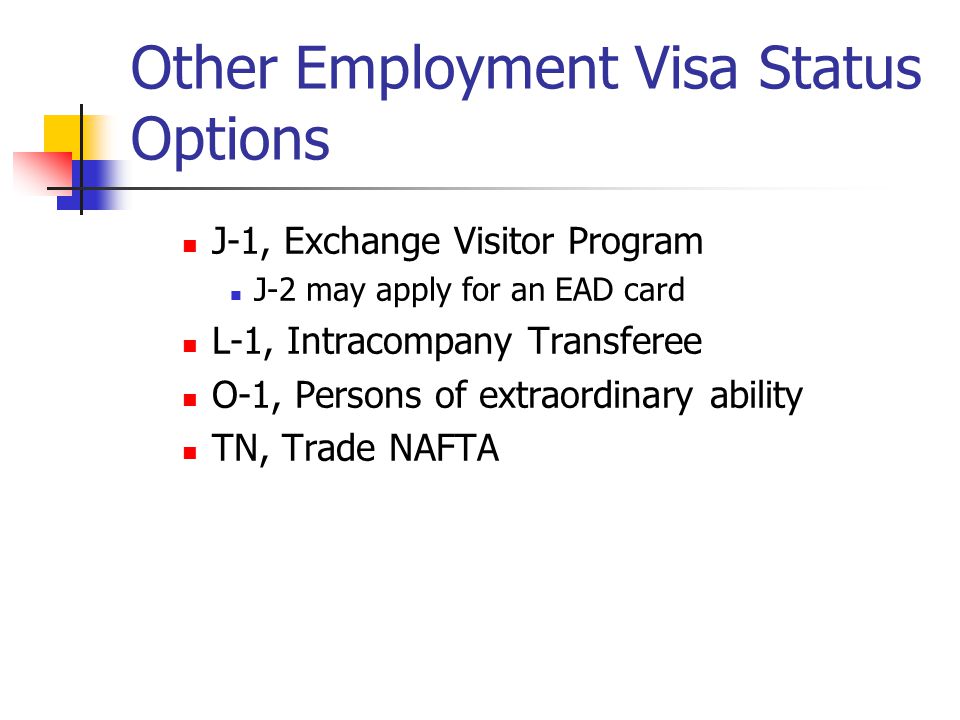 Other Employment Visa Status Options J-1, Exchange Visitor Program J-2 may apply for an EAD card L-1, Intracompany Transferee O-1, Persons of extraordinary ability TN, Trade NAFTA