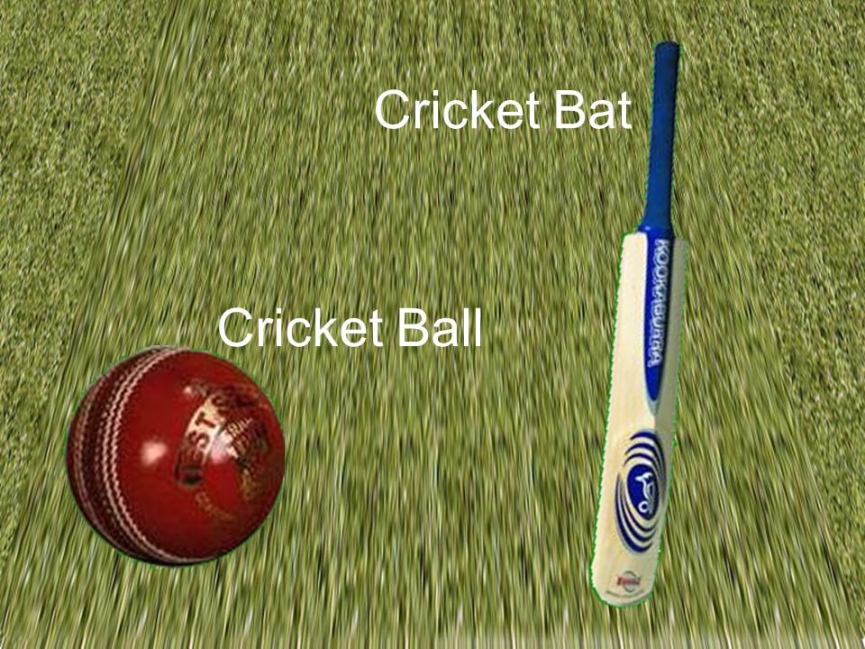 Cricket Bat Cricket Ball