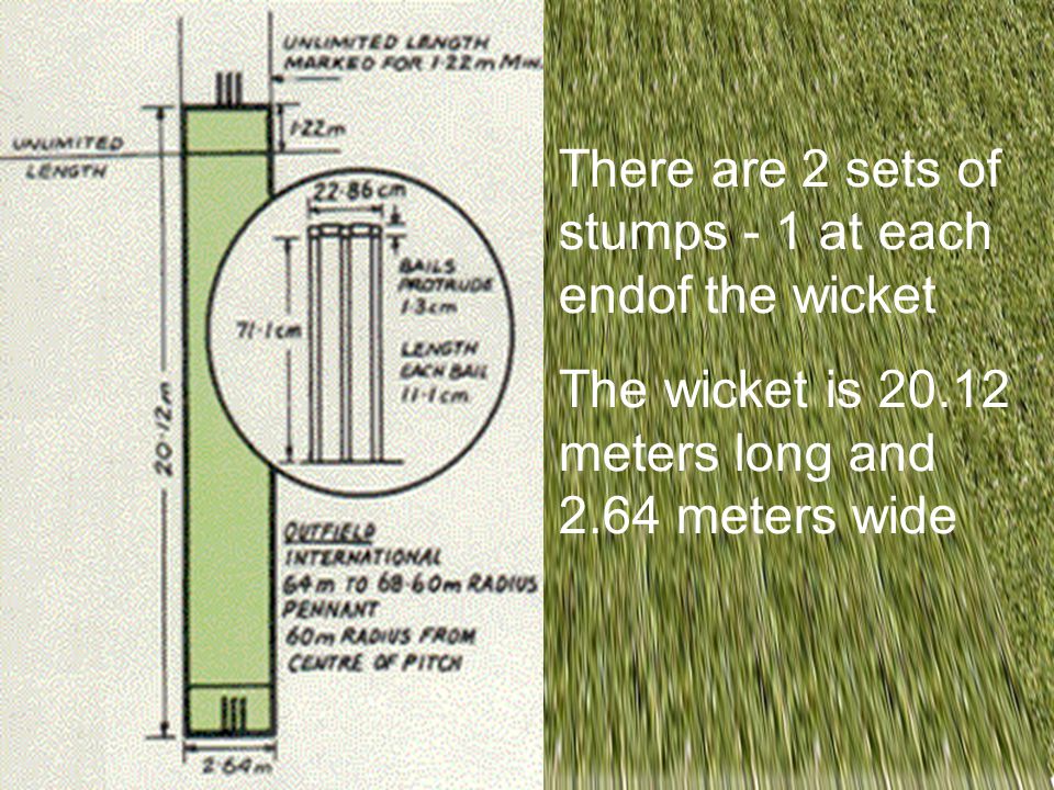 There are 2 sets of stumps - 1 at each endof the wicket The wicket is meters long and 2.64 meters wide