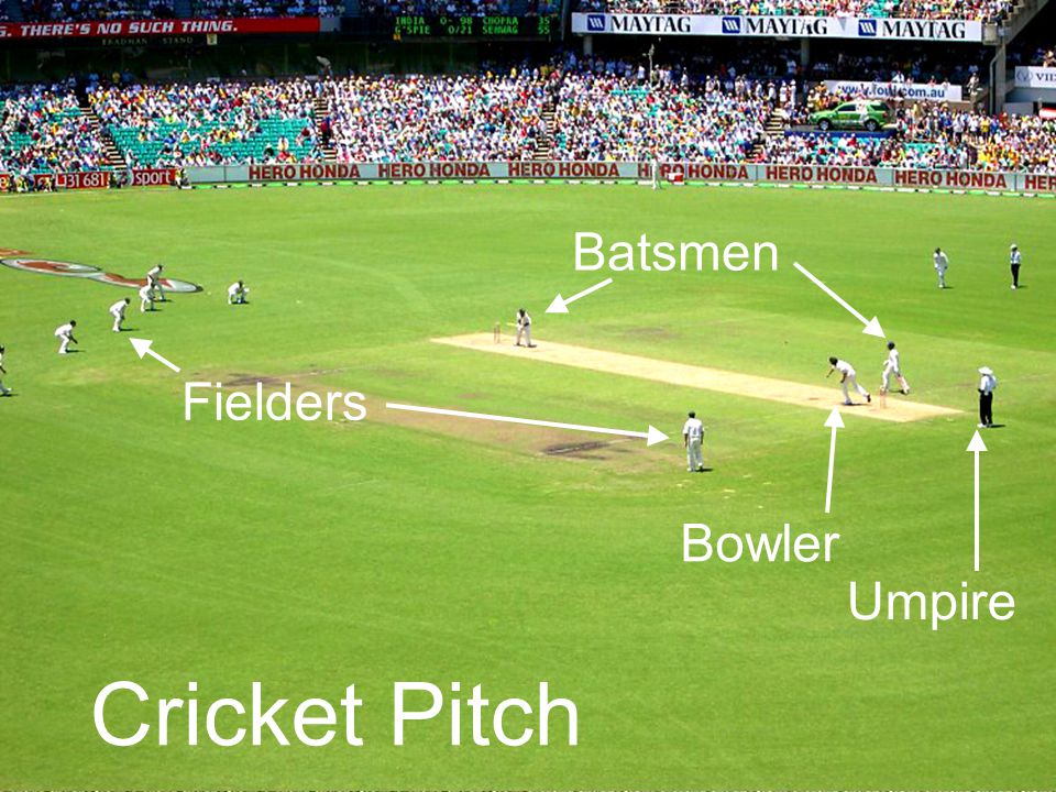 Cricket Pitch Batsmen Bowler Fielders Umpire
