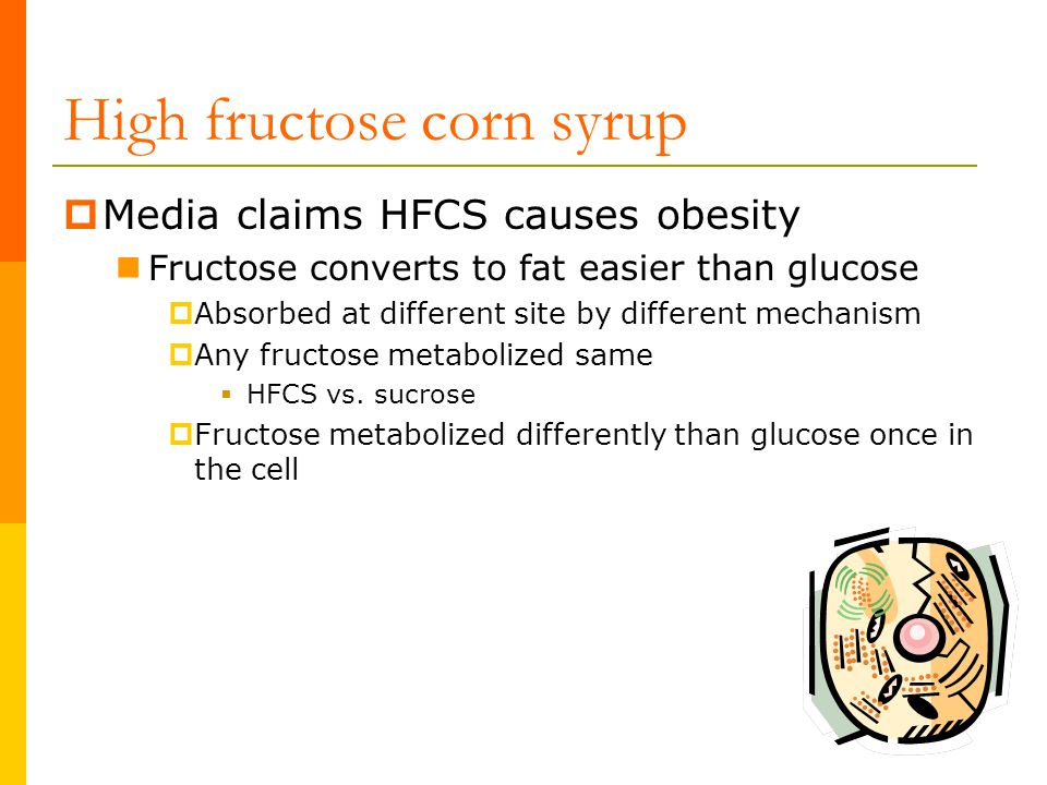 high fructose corn syrup and obesity