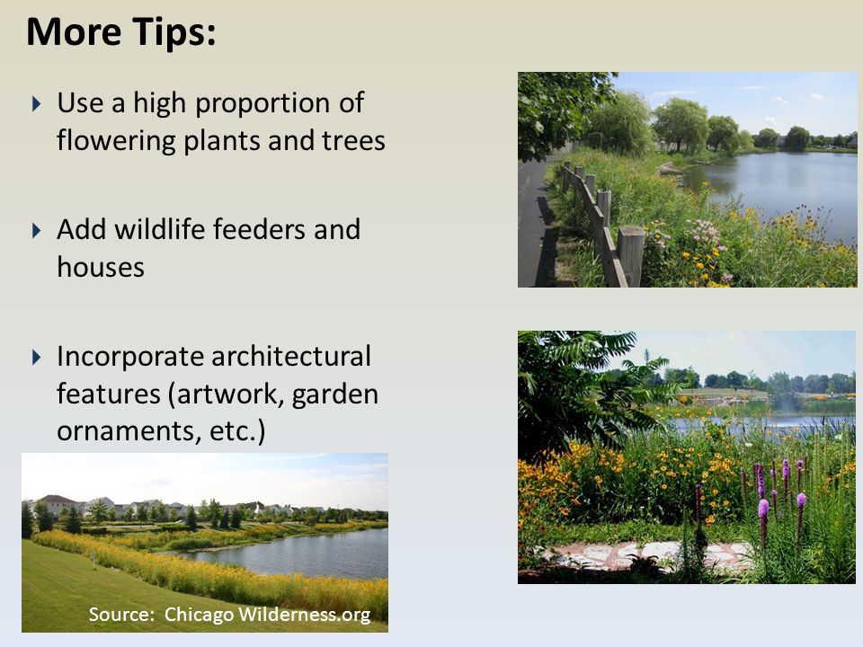 Source: Chicago Wilderness.org  Use a high proportion of flowering plants and trees  Add wildlife feeders and houses  Incorporate architectural features (artwork, garden ornaments, etc.) More Tips: