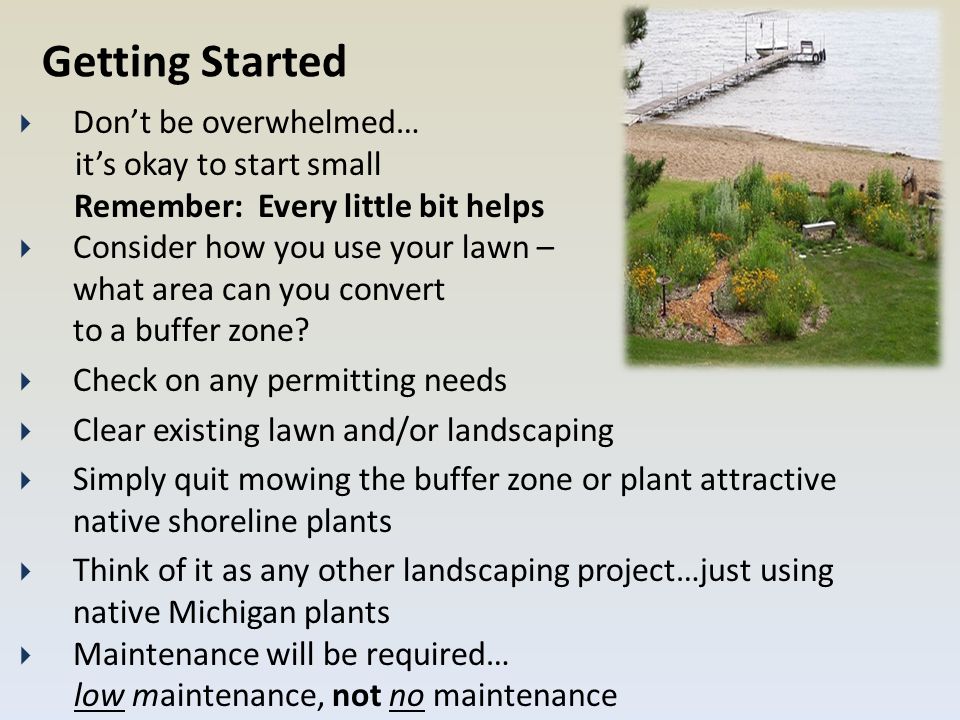 Getting Started  Don’t be overwhelmed… it’s okay to start small Remember: Every little bit helps  Consider how you use your lawn – what area can you convert to a buffer zone.