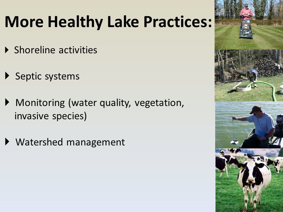 More Healthy Lake Practices:  Shoreline activities  Septic systems  Monitoring (water quality, vegetation, invasive species)  Watershed management