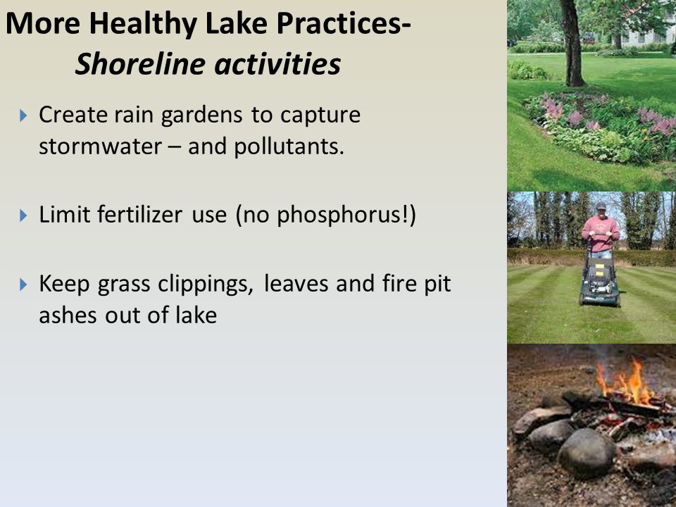 More Healthy Lake Practices- Shoreline activities  Create rain gardens to capture stormwater – and pollutants.