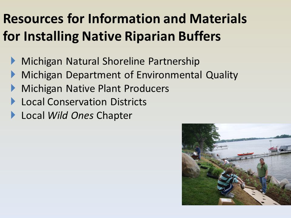 Resources for Information and Materials for Installing Native Riparian Buffers  Michigan Natural Shoreline Partnership  Michigan Department of Environmental Quality  Michigan Native Plant Producers  Local Conservation Districts  Local Wild Ones Chapter