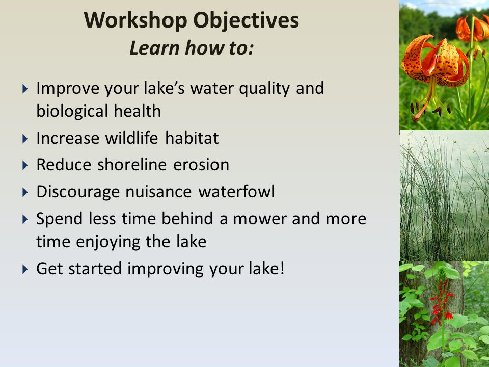 Workshop Objectives Learn how to:  Improve your lake’s water quality and biological health  Increase wildlife habitat  Reduce shoreline erosion  Discourage nuisance waterfowl  Spend less time behind a mower and more time enjoying the lake  Get started improving your lake!