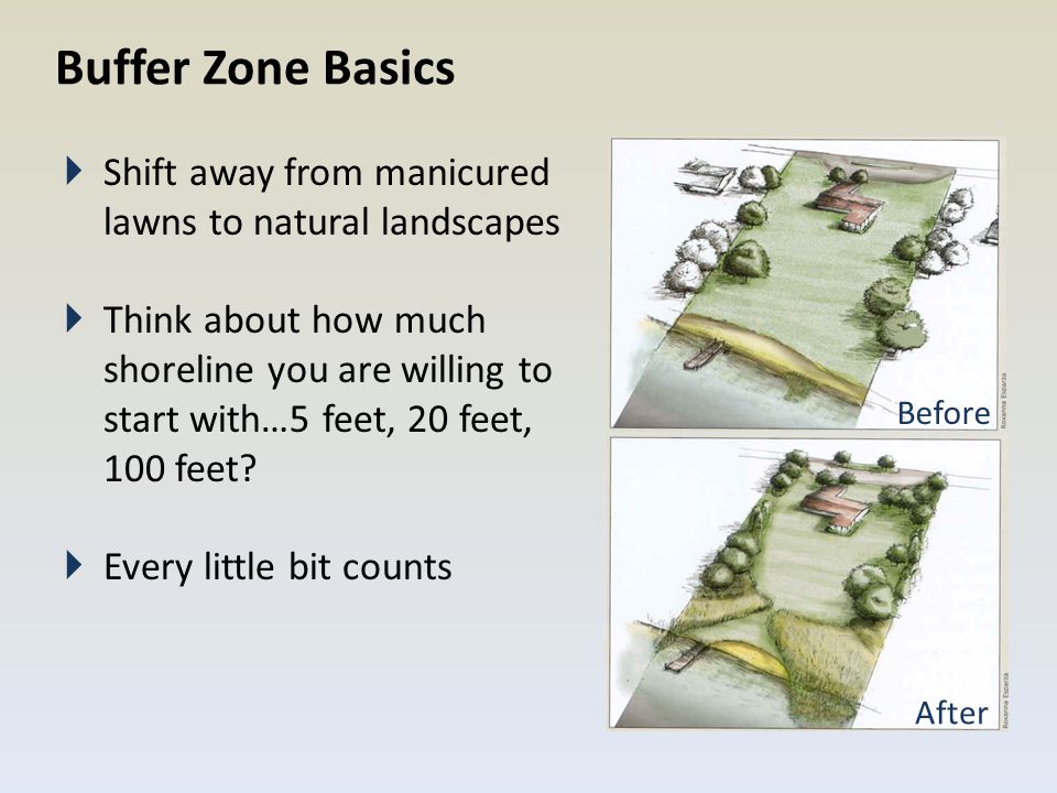 Buffer Zone Basics  Shift away from manicured lawns to natural landscapes  Think about how much shoreline you are willing to start with…5 feet, 20 feet, 100 feet.