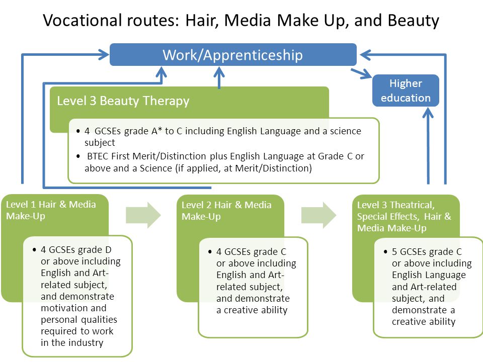 Vocational routes: Hair, Media Make Up, and Beauty Level 3 Beauty Therapy 4 GCSEs grade A* to C including English Language and a science subject BTEC First Merit/Distinction plus English Language at Grade C or above and a Science (if applied, at Merit/Distinction) Level 1 Hair & Media Make-Up 4 GCSEs grade D or above including English and Art- related subject, and demonstrate motivation and personal qualities required to work in the industry Level 2 Hair & Media Make-Up 4 GCSEs grade C or above including English and Art- related subject, and demonstrate a creative ability Level 3 Theatrical, Special Effects, Hair & Media Make-Up 5 GCSEs grade C or above including English Language and Art-related subject, and demonstrate a creative ability Work/Apprenticeship Higher education