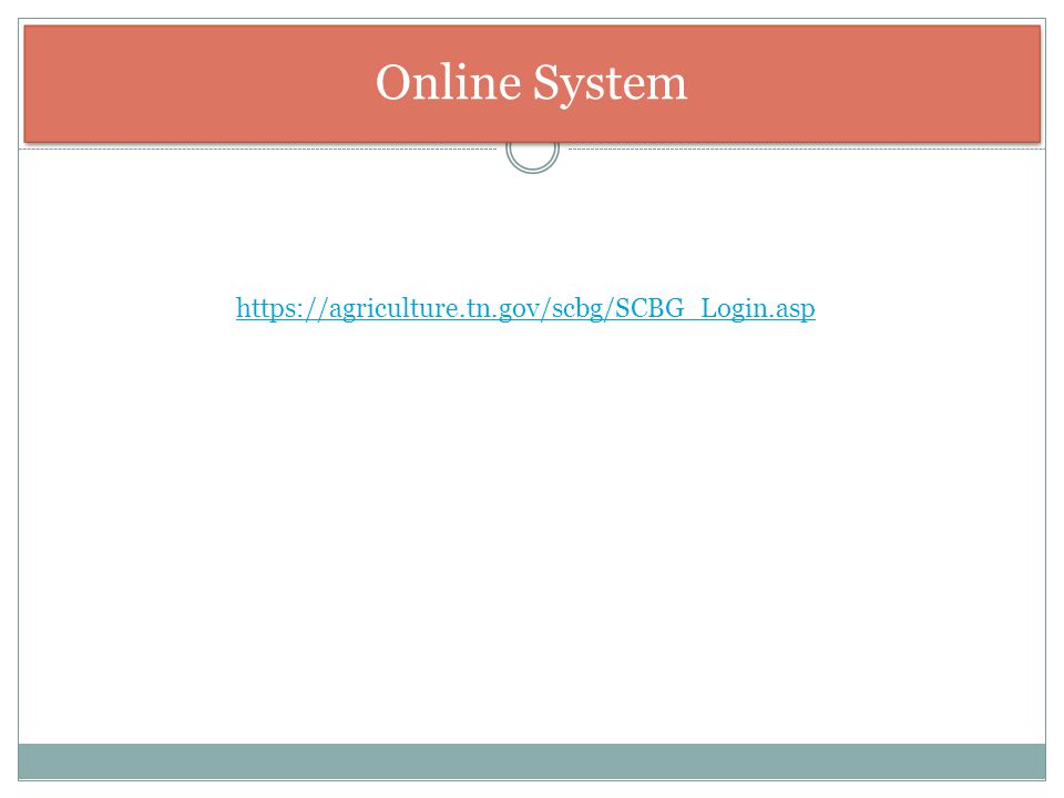 Online System
