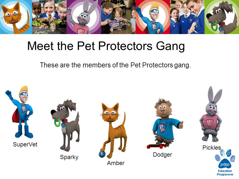 Meet the Pet Protectors Gang These are the members of the Pet Protectors gang.