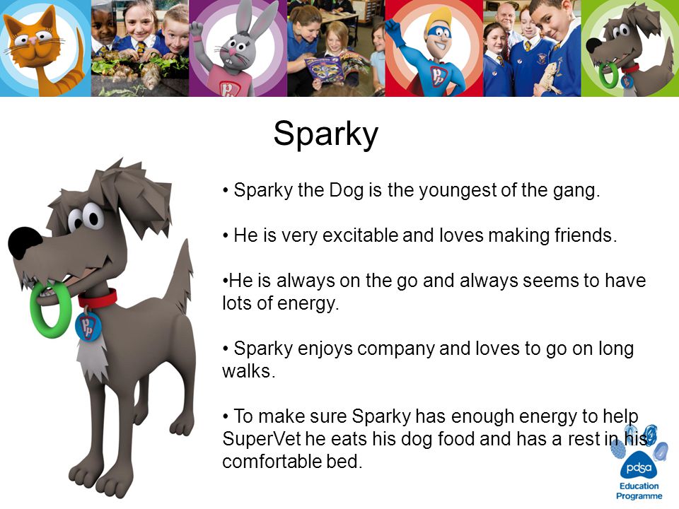 Sparky Sparky the Dog is the youngest of the gang.