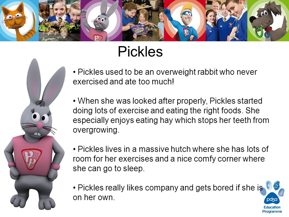 Pickles Pickles used to be an overweight rabbit who never exercised and ate too much.
