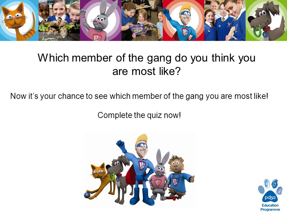 Now it’s your chance to see which member of the gang you are most like.