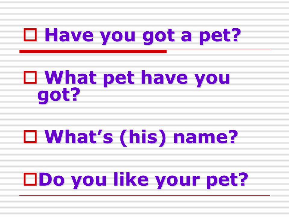  Have you got a pet  What pet have you got  What’s (his) name  Do you like your pet