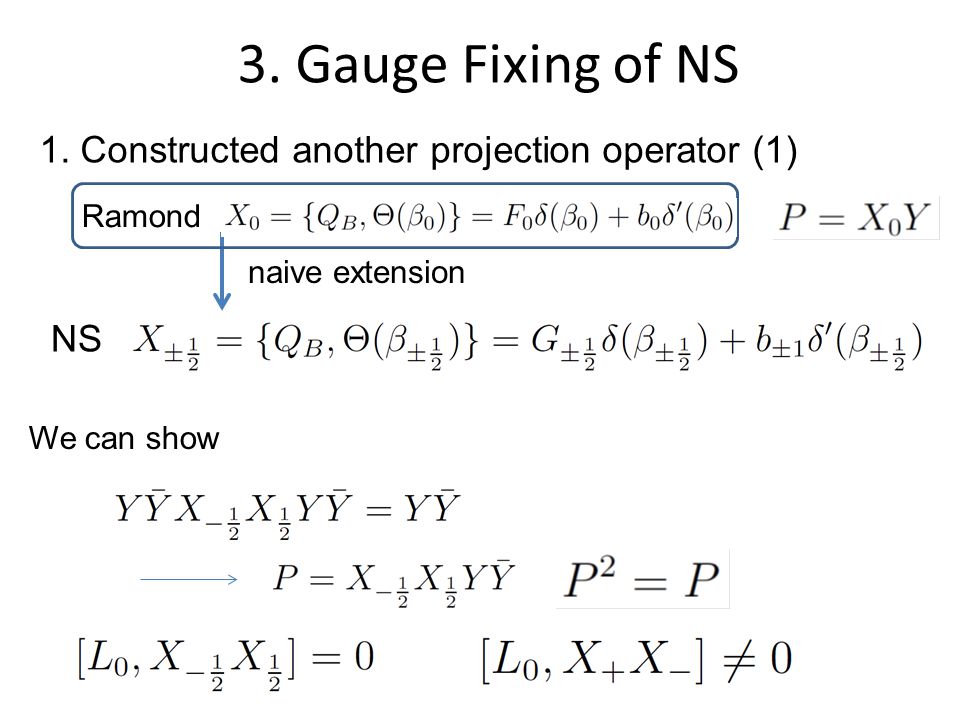 3. Gauge Fixing of NS 1.