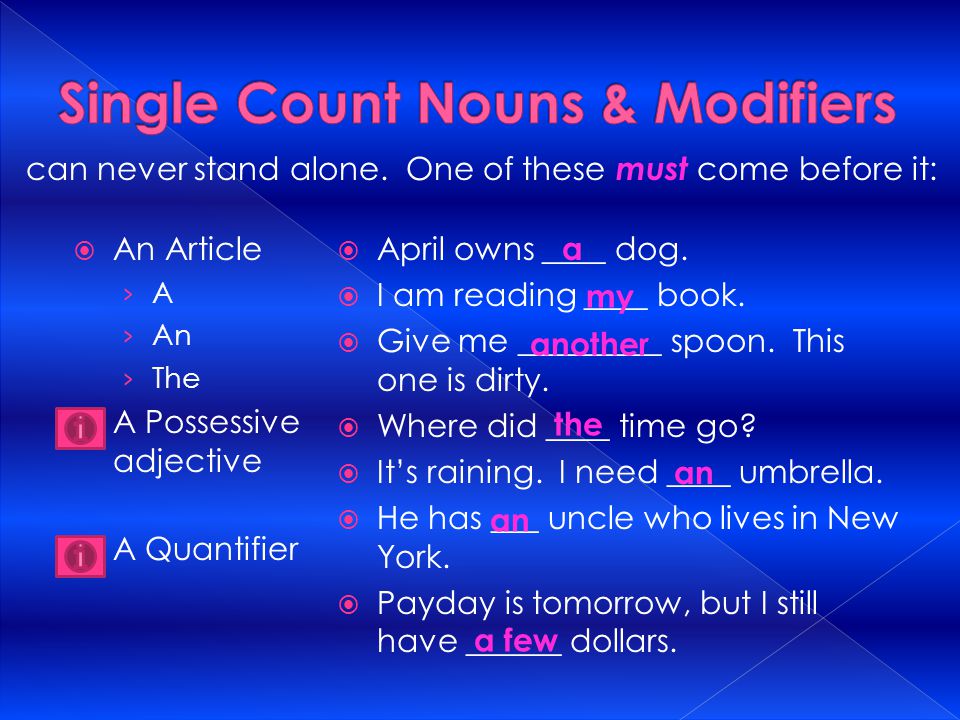  An Article › A › An › The  A Possessive adjective  A Quantifier  April owns ____ dog.