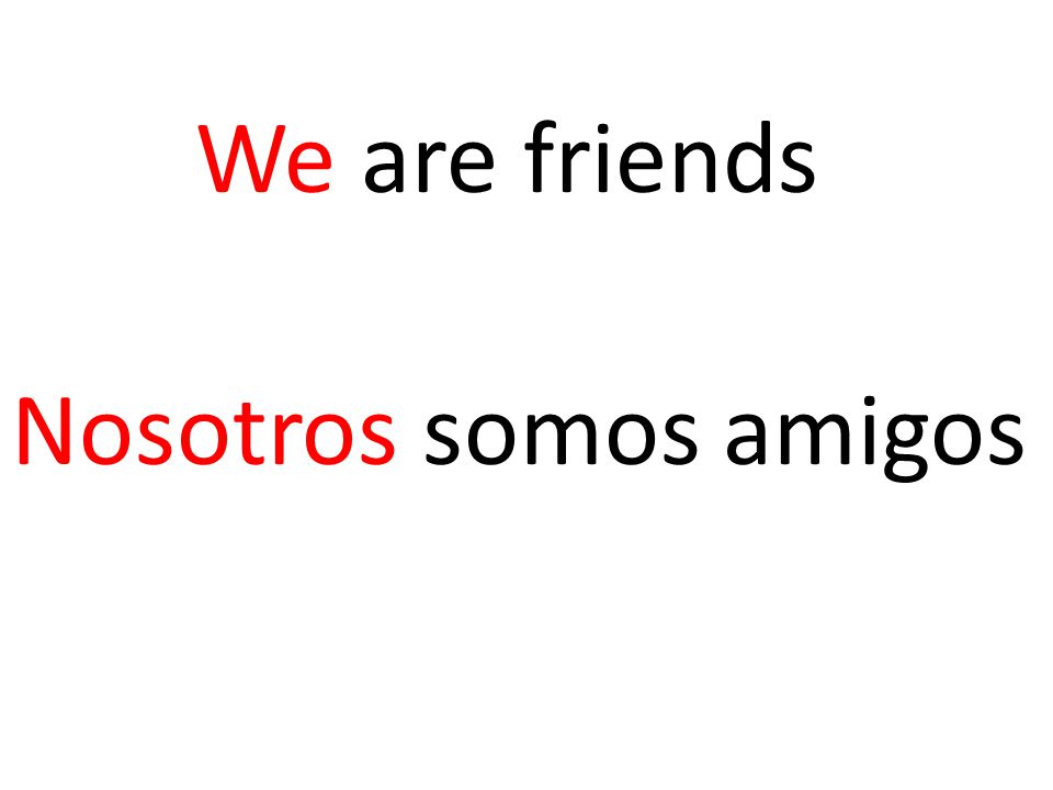 We are friends Nosotros somos amigos