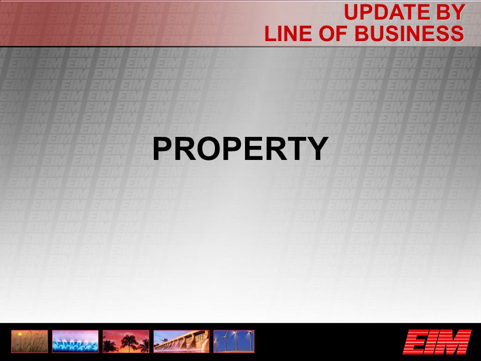 UPDATE BY LINE OF BUSINESS PROPERTY