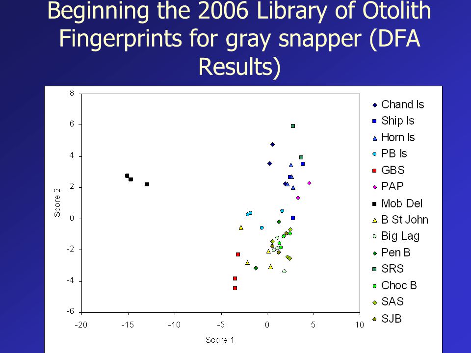 Beginning the 2006 Library of Otolith Fingerprints for gray snapper (DFA Results)