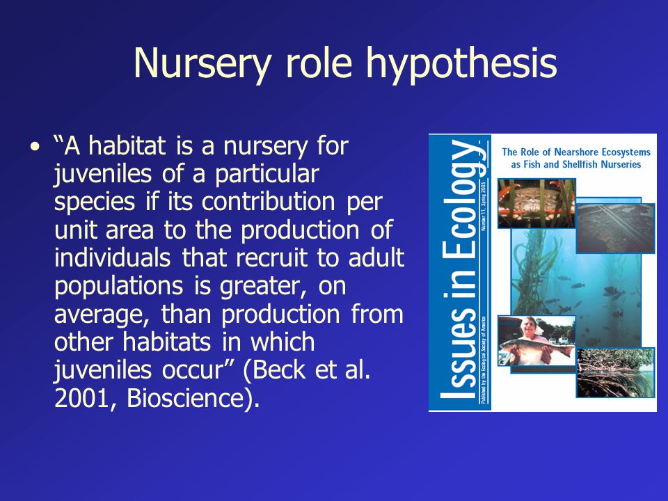 Nursery role hypothesis A habitat is a nursery for juveniles of a particular species if its contribution per unit area to the production of individuals that recruit to adult populations is greater, on average, than production from other habitats in which juveniles occur (Beck et al.