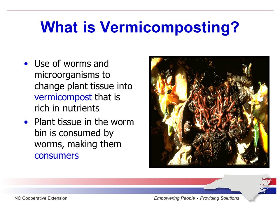 Lesson 1 - Vermicomposting Objectives –What is vermicomposting.