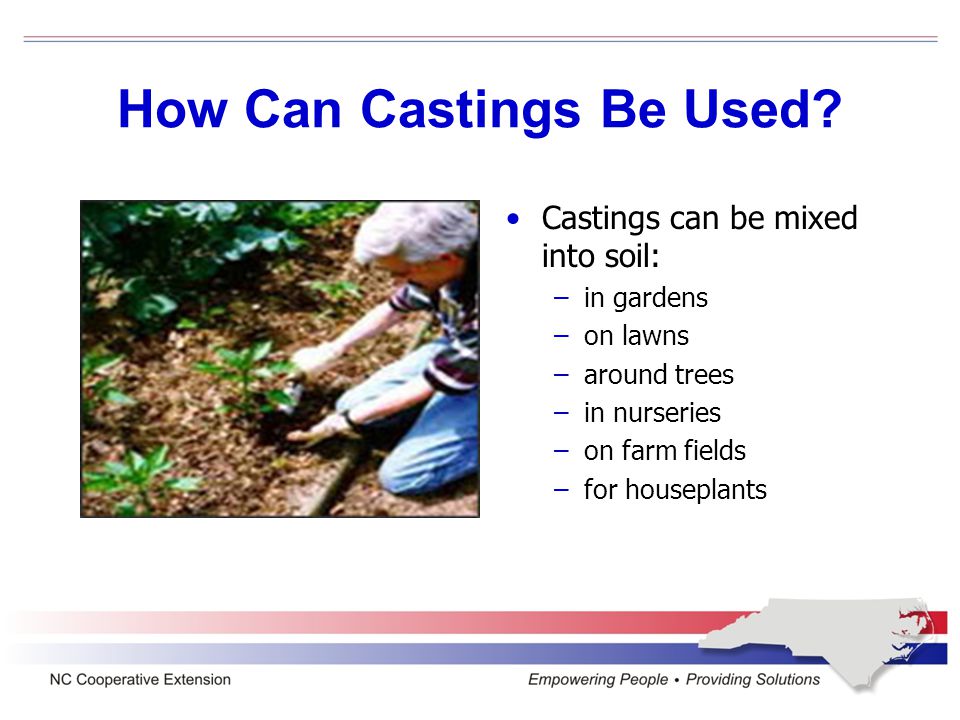 How Do Castings Help Plants and Soil.