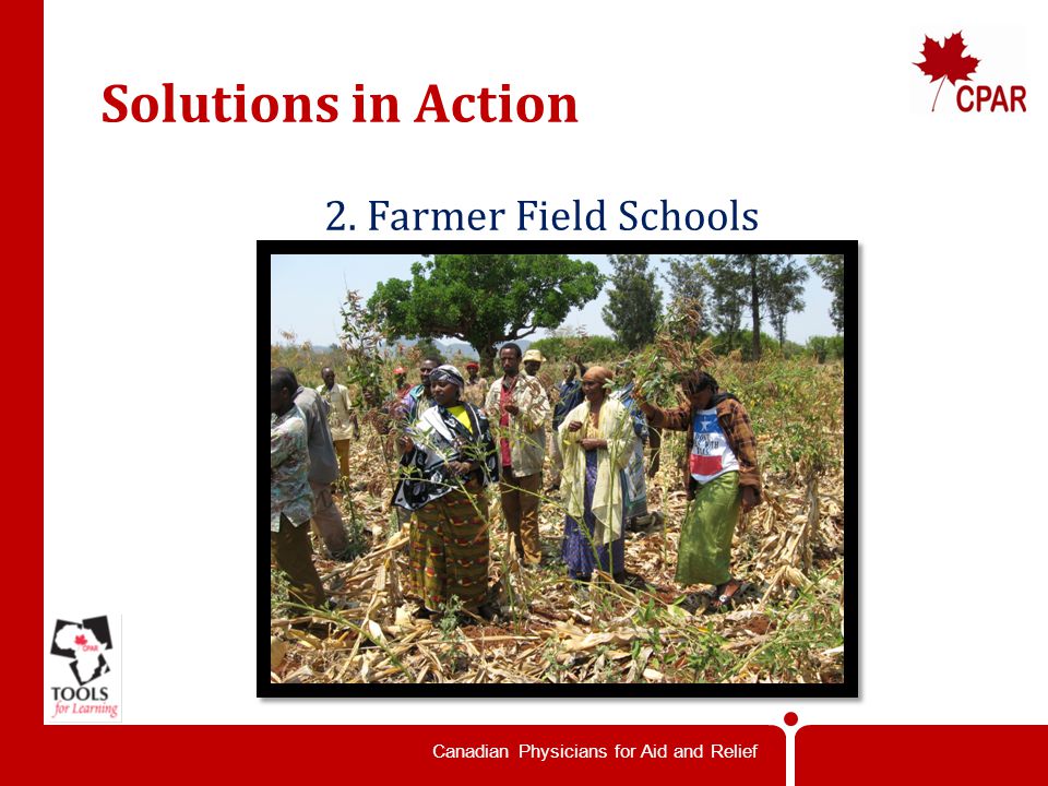 Canadian Physicians for Aid and Relief Solutions in Action 2. Farmer Field Schools