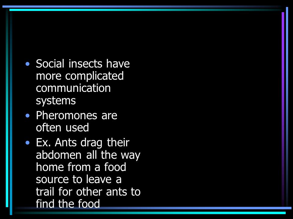 Social insects have more complicated communication systems Pheromones are often used Ex.